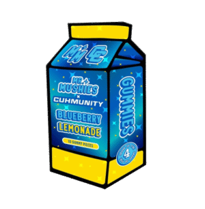 Mr. Mushies Blueberry Lemonade Gummies – 10-pack infused with 4g of magic mushrooms